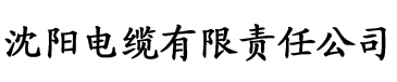 理论片在线播放电缆厂logo